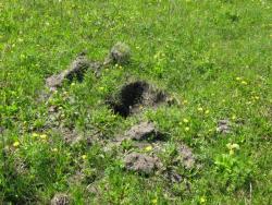 post-6726-0-27194300-1351917318_thumb.jp