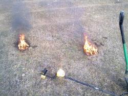 post-7565-0-58063900-1352086515_thumb.jp