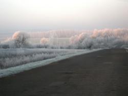 post-7566-0-76043000-1351967838_thumb.jp