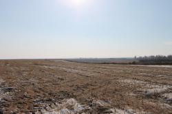 post-8662-0-67235600-1353085584_thumb.jp