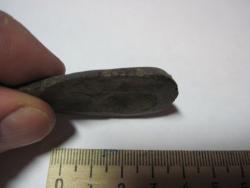 post-9392-0-03658200-1353874145_thumb.jp