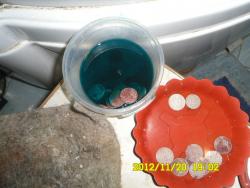 post-9966-0-10246400-1353421755_thumb.jp