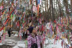 post-10696-0-03868500-1385746608_thumb.j