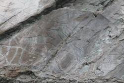 post-10696-0-93140400-1385746233_thumb.j