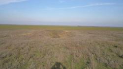 post-11338-0-42240700-1384093766_thumb.j