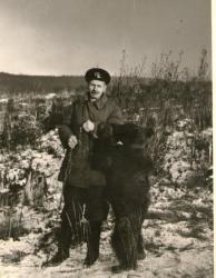 post-13075-0-31457800-1384402086_thumb.j