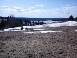 post-14486-0-35858500-1384185833_thumb.j