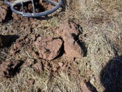 post-14486-0-89037600-1384185988_thumb.j