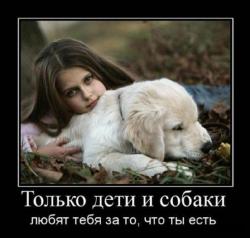 post-1724-0-43272000-1385434425_thumb.jp