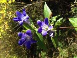 post-20810-0-28383700-1384919875_thumb.j