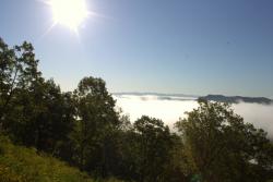 post-20810-0-30992900-1384919779_thumb.j