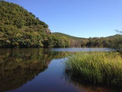 post-20810-0-80046400-1384919555_thumb.j