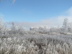 post-23116-0-13151800-1384101393_thumb.j