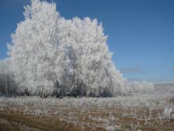 post-23116-0-16145600-1384101457_thumb.j