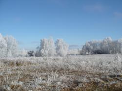 post-23116-0-27352700-1384101533_thumb.j