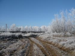 post-23116-0-37572700-1384101357_thumb.j