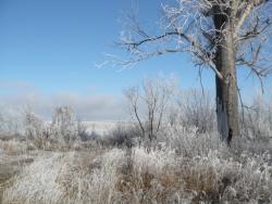 post-23116-0-43752800-1384101350_thumb.j