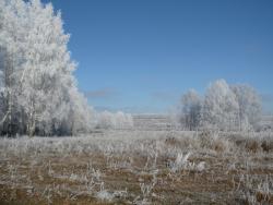 post-23116-0-82144700-1384101547_thumb.j