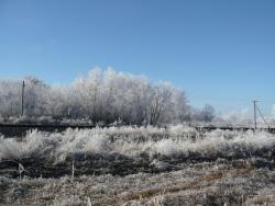 post-23116-0-84292600-1384101383_thumb.j