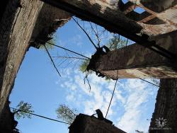 post-23552-0-26718500-1385468284_thumb.j