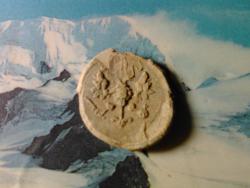 post-23743-0-53665400-1383573171_thumb.j