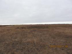 post-24709-0-02387600-1383479253_thumb.j