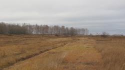 post-24709-0-25430000-1383558750_thumb.j