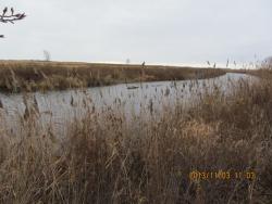 post-24709-0-32827200-1383478791_thumb.j