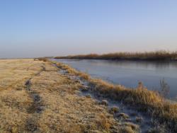 post-24709-0-40646900-1385461306_thumb.j