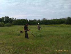 post-24709-0-47213400-1385787857_thumb.j