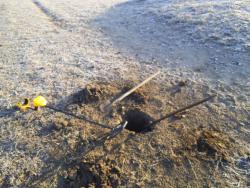 post-24709-0-50421500-1385461114_thumb.j