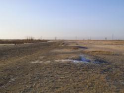 post-24709-0-67643100-1385460853_thumb.j