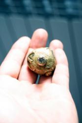 post-26309-0-60494400-1383756480_thumb.j