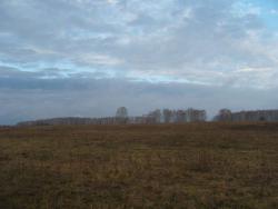 post-27127-0-60597500-1383398557_thumb.j