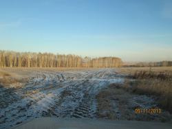 post-27143-0-75965000-1384140292_thumb.j