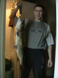 post-27393-0-16700200-1384114822_thumb.j