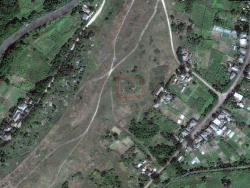 post-27398-0-89563700-1384454221_thumb.j