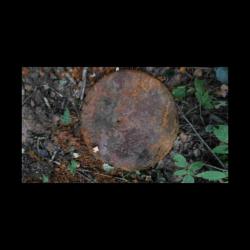 post-27480-0-63665700-1385019395_thumb.j