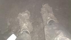 post-27646-0-08291300-1383804236_thumb.j