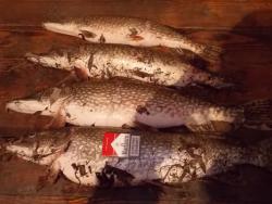 post-27646-0-66312000-1384580958_thumb.j