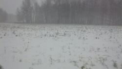 post-27646-0-88038200-1384262572_thumb.j