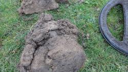 post-28025-0-22018700-1385454046_thumb.j