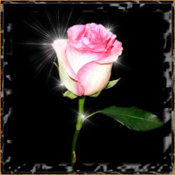 post-2838-0-73650800-1384353930_thumb.jp