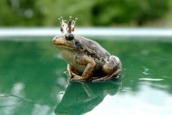 post-2838-0-94791100-1384353876_thumb.jp