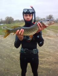 post-28759-0-08285300-1384539428_thumb.j