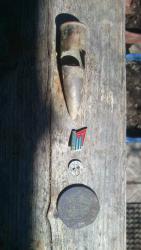 post-29541-0-92646500-1384684756_thumb.j