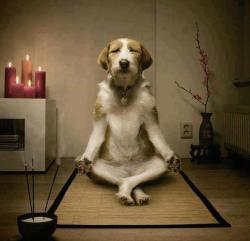 post-29572-0-57647600-1384843901_thumb.j