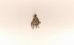 post-29579-0-07535300-1385059870_thumb.j