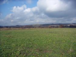 post-4489-0-40952300-1385553228_thumb.jp