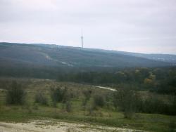 post-4489-0-55238500-1385552557_thumb.jp